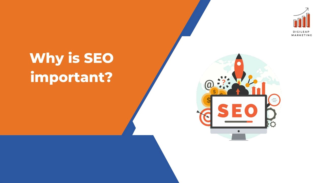 Importance of SEO | SEO | search engine optimization | Digileap |